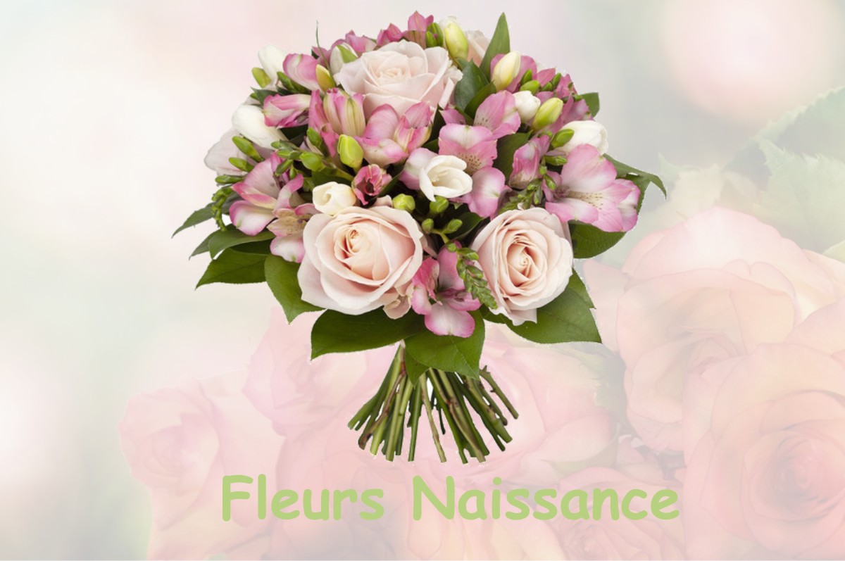 fleurs naissance SAINT-SIMEON